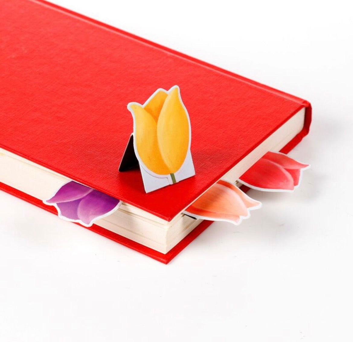Tulip Fields Set of 4 Magnetic Bookmarks