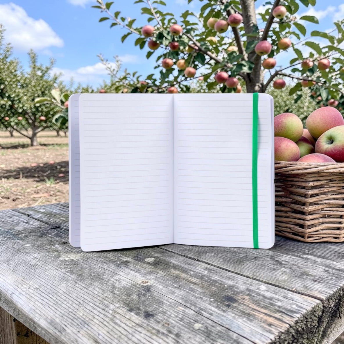 Summer Fruits A5 Lined Notebook