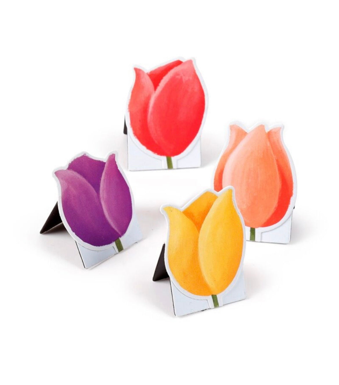 Tulip Fields Set of 4 Magnetic Bookmarks